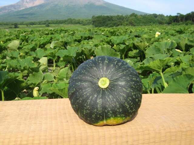 みよい農園　くりりんかぼちゃ