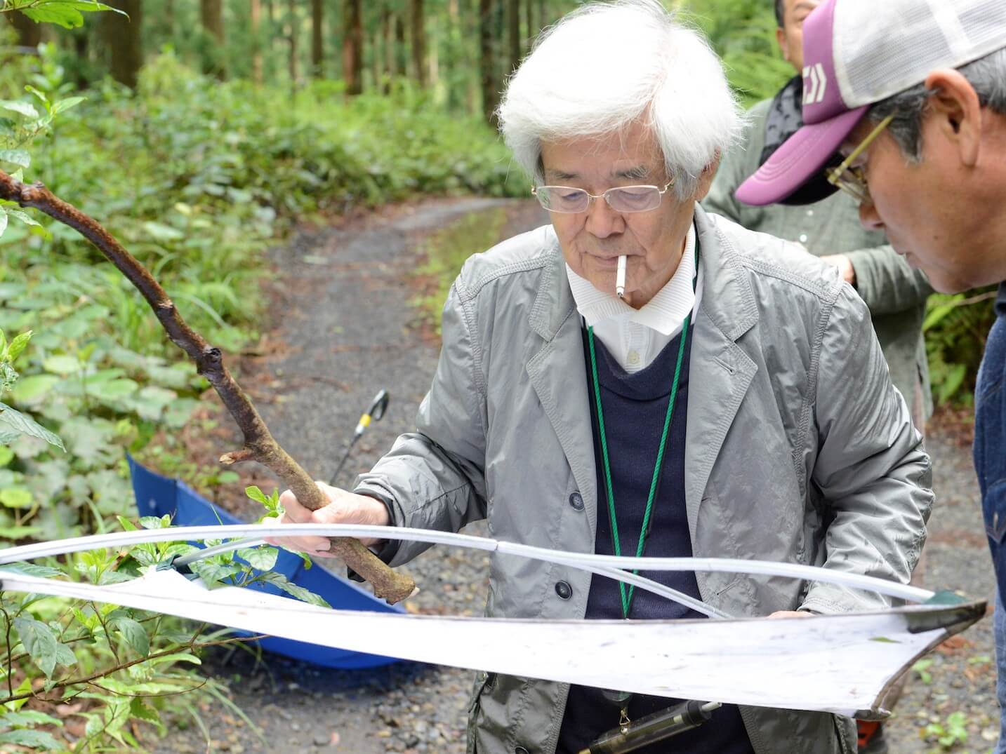 養老孟司