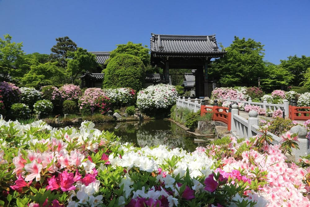 妙満寺