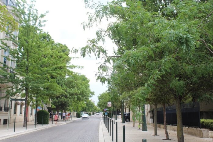 キャプション: 緑の並木道が美しいシャンパーニュ大通り