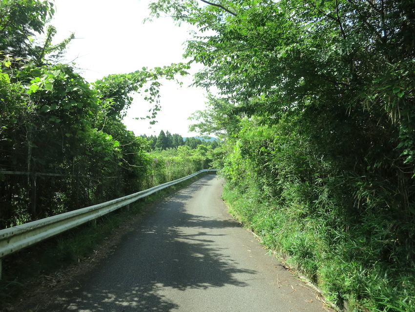 この山道を抜ければ・・