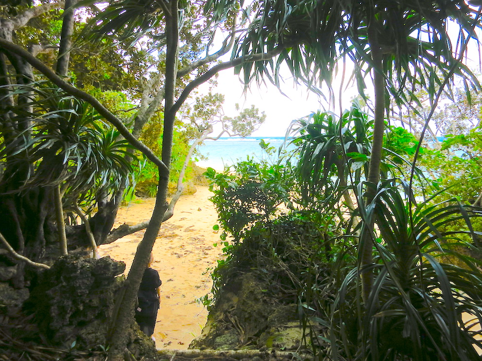 ジャングルのような小道を通り抜けた先にはビーチ